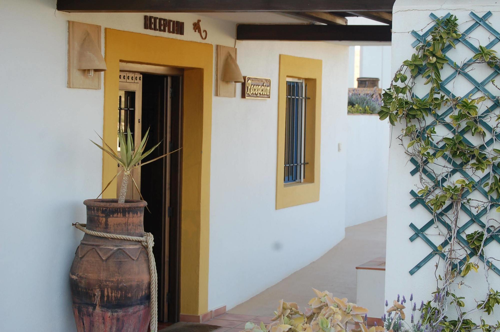 Hostal El Dorado San Jose  Bagian luar foto